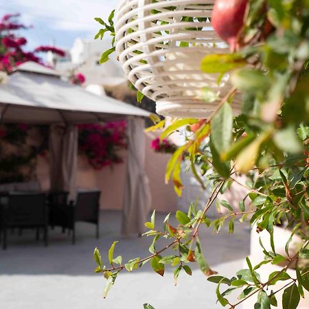 Santorini Oasis- Cave House Villa Фира Екстериор снимка