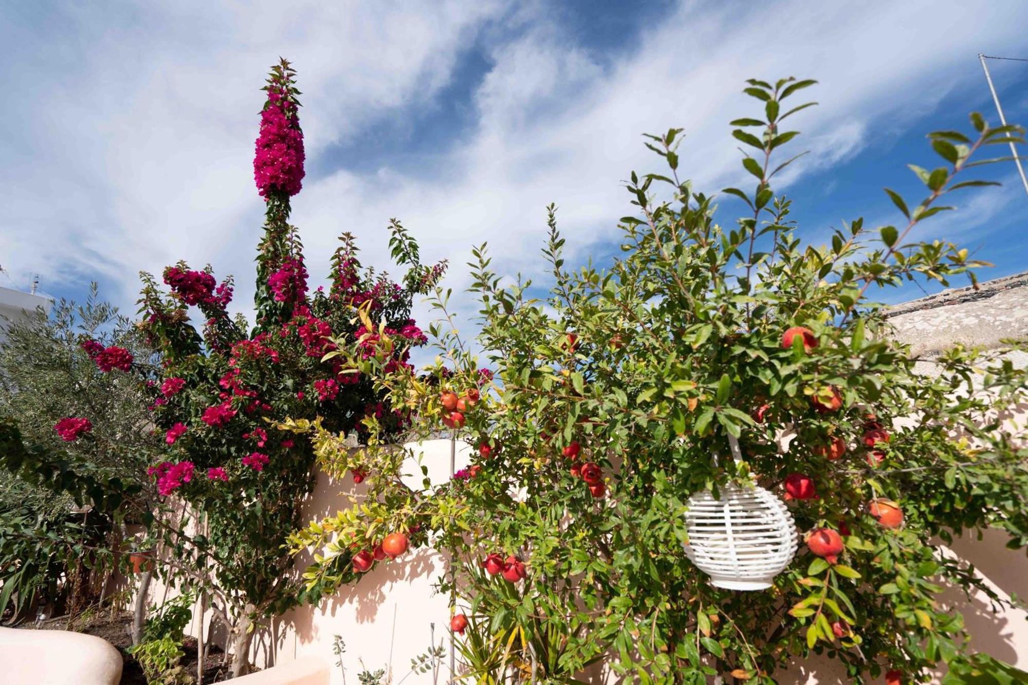 Santorini Oasis- Cave House Villa Фира Екстериор снимка